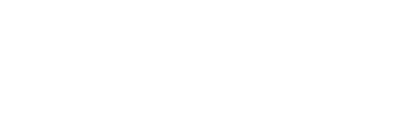 emm logo